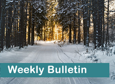 A road in the forest covered in snow and the words This' Week's Bulletin